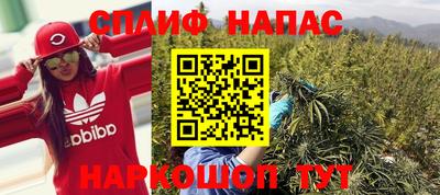 соль ск Будённовск
