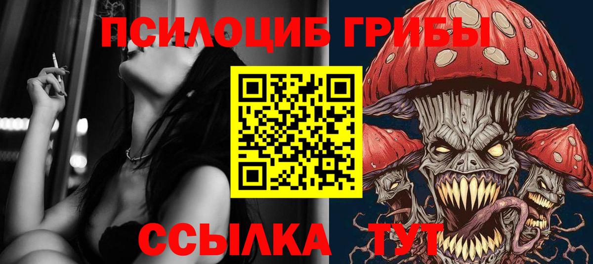 Шатура  Псилоцибиновые грибы MAGIC MUSHROOMS  Вход с VPN 